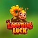 Ladybug Luck