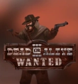 Dead or Alive 3 Wanted