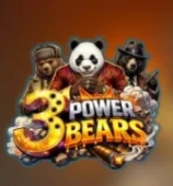 3 Power Bears