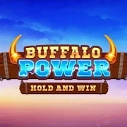 Buffalo Hold and Win