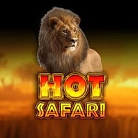 Hot Safari