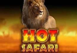Hot Safari