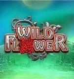 Wild Flower