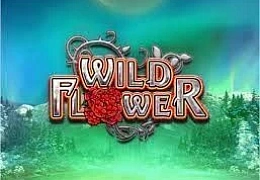 Wild Flower