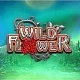 Wild Flower