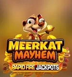 Meerkat Mayhem