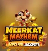 Meerkat Mayhem