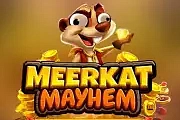 Meerkat Mayhem