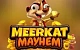 Meerkat Mayhem