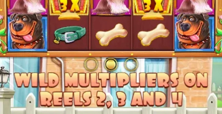 Screenshot 20Bet
