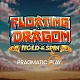Floating Dragon: A Journey Through a Legendary Slot Series
