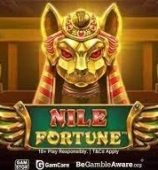 Nile Fortunes