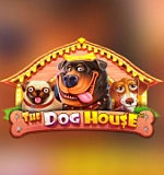 The Dog House