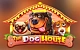 The Dog House