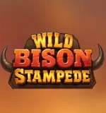 Wild Bison Stampede