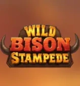 Wild Bison Stampede