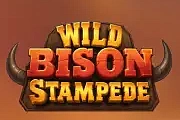 Wild Bison Stampede