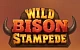 Wild Bison Stampede