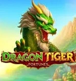 Dragon Tiger Fortunes