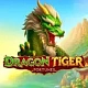 Dragon Tiger Fortunes