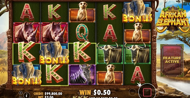 Gameplay process: wins, multipliers and cascade behaviour.