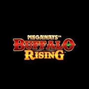 Buffalo Rising Megaways