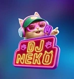 DJ Neko
