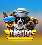 3 Top Dogs