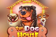 The Dog House Megaways