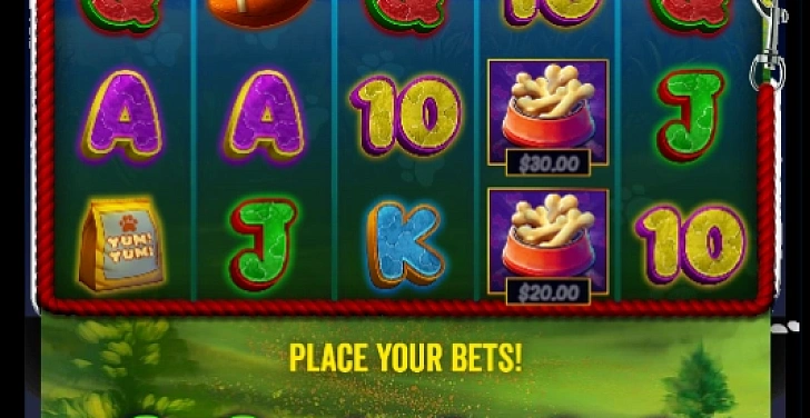 Screenshot 20Bet
