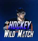 Hockey League Wild Match