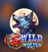 5 Wild Wolves