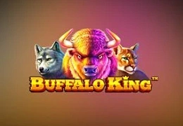 The Buffalo King