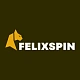 FelixSpin