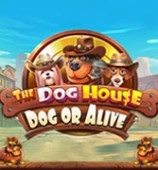 The Dog House Dog or Alive