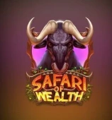 The Safari of Wealth