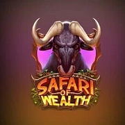 The Safari of Wealth