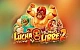 Lucha Libre 2