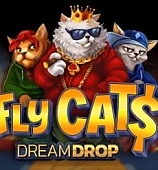 Fly Cats Dream Drop