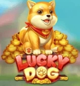 Lucky Dog