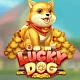 Lucky Dog