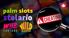 Checking the RTP of a casino from the rating: Maneki Casino, Spinia, Wild Fortune and others