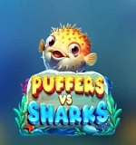 Puffers Vs Sharks