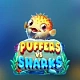 Puffers Vs Sharks