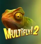 MultiFly 2