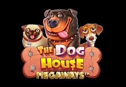 Dog House Megaways
