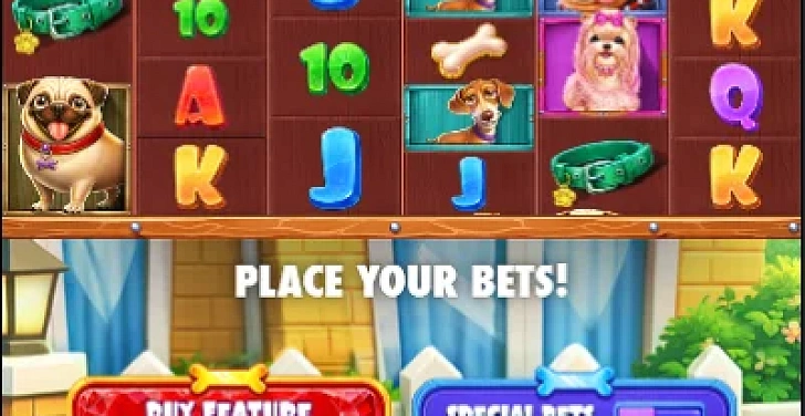 Screenshot 20Bet