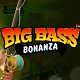 Why do players love the Big Bass Bonanza series of slots and why has it become popular?