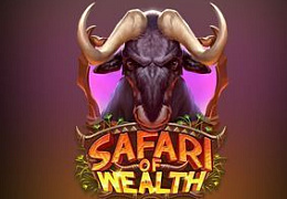 The Safari of Wealth