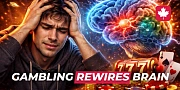 2026 Study: How Gaming Addiction Physically Rewires Brain Structure and Chemistry